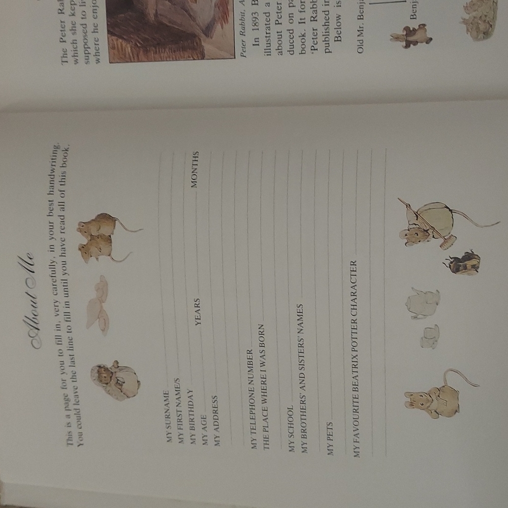 The Big Peter Rabbit Book - Picture 8 of 16